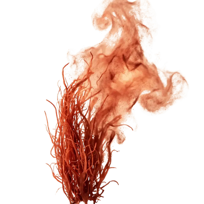 Astaxanthin — 24 mg